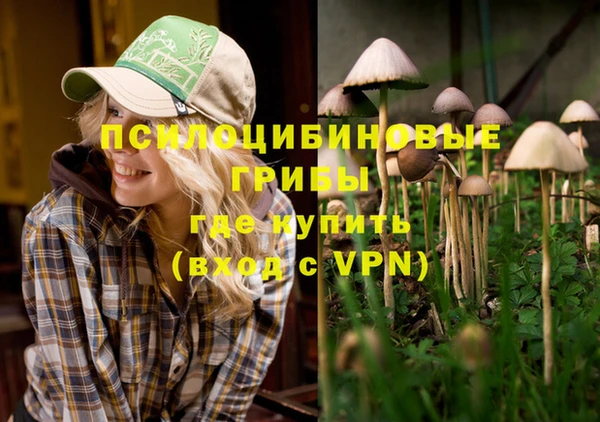 метамфетамин Горнозаводск