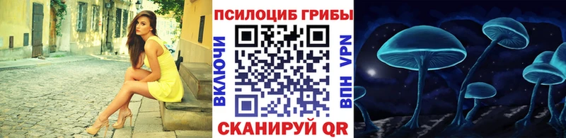 Галлюциногенные грибы Cubensis  продажа наркотиков  Ленинск 
